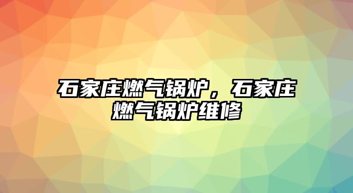 石家莊燃?xì)忮仩t，石家莊燃?xì)忮仩t維修