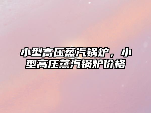 小型高壓蒸汽鍋爐，小型高壓蒸汽鍋爐價格