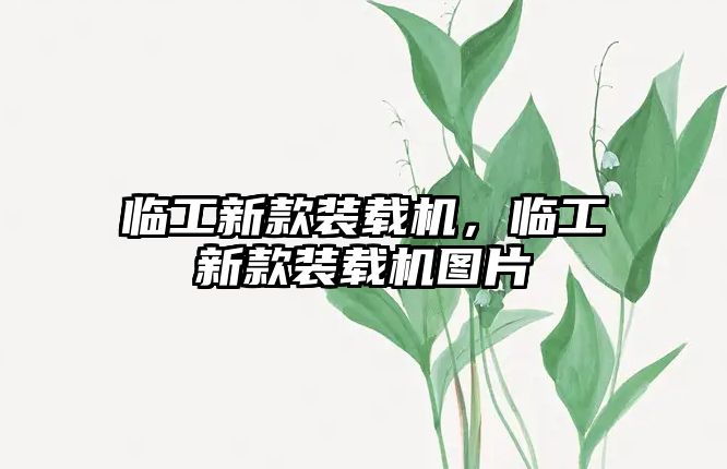 臨工新款裝載機(jī)，臨工新款裝載機(jī)圖片