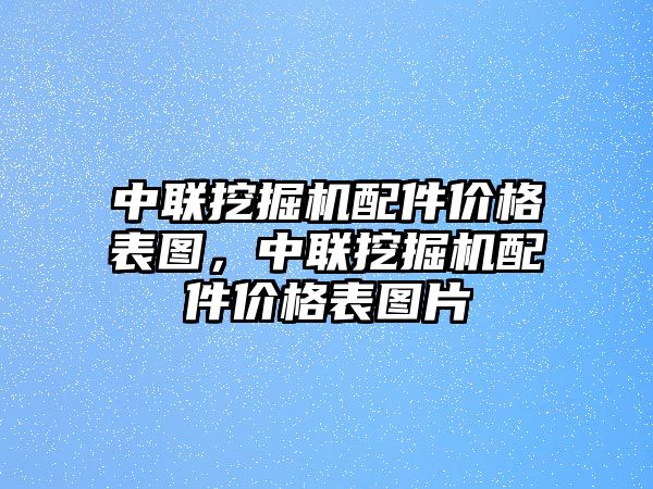 中聯(lián)挖掘機(jī)配件價(jià)格表圖，中聯(lián)挖掘機(jī)配件價(jià)格表圖片