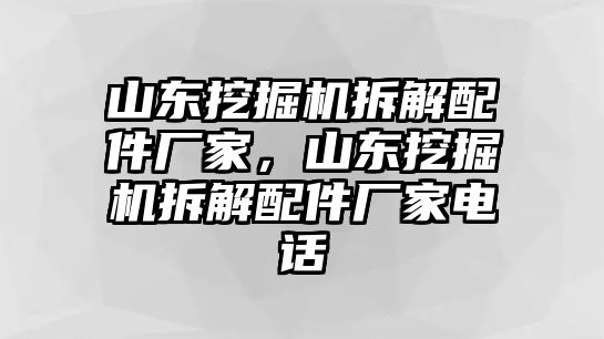 山東挖掘機拆解配件廠家，山東挖掘機拆解配件廠家電話