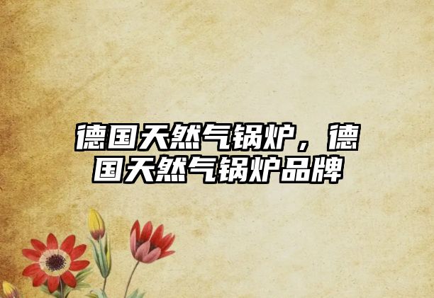 德國(guó)天然氣鍋爐，德國(guó)天然氣鍋爐品牌