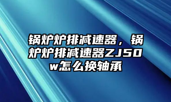 鍋爐爐排減速器，鍋爐爐排減速器ZJ50w怎么換軸承