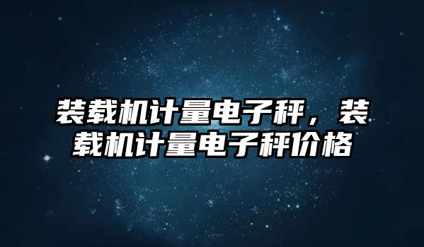 裝載機(jī)計(jì)量電子秤，裝載機(jī)計(jì)量電子秤價(jià)格