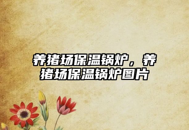 養(yǎng)豬場保溫鍋爐，養(yǎng)豬場保溫鍋爐圖片