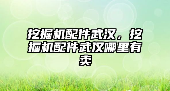 挖掘機配件武漢，挖掘機配件武漢哪里有賣