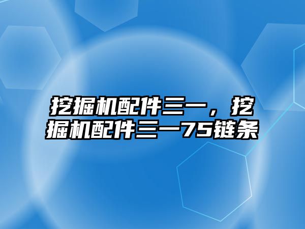 挖掘機(jī)配件三一，挖掘機(jī)配件三一75鏈條