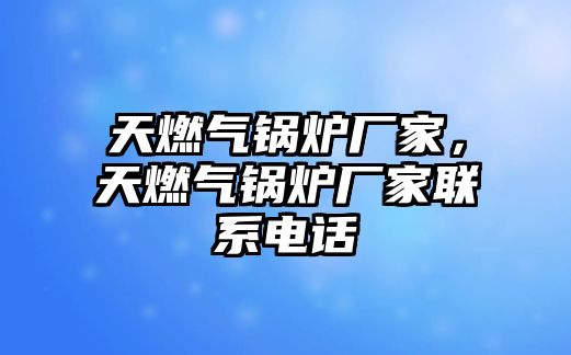 天燃?xì)忮仩t廠家，天燃?xì)忮仩t廠家聯(lián)系電話