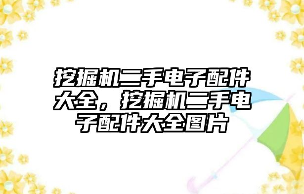 挖掘機(jī)二手電子配件大全，挖掘機(jī)二手電子配件大全圖片