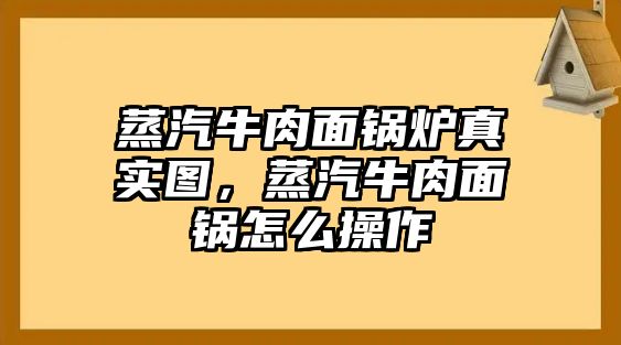 蒸汽牛肉面鍋爐真實(shí)圖，蒸汽牛肉面鍋怎么操作