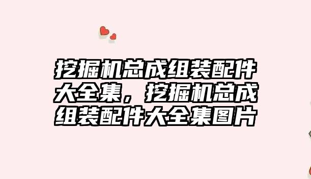 挖掘機總成組裝配件大全集，挖掘機總成組裝配件大全集圖片