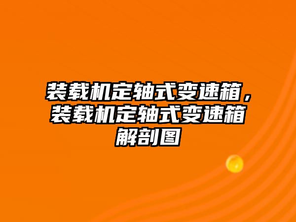 裝載機定軸式變速箱，裝載機定軸式變速箱解剖圖