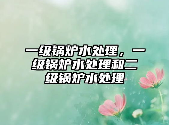 一級鍋爐水處理，一級鍋爐水處理和二級鍋爐水處理