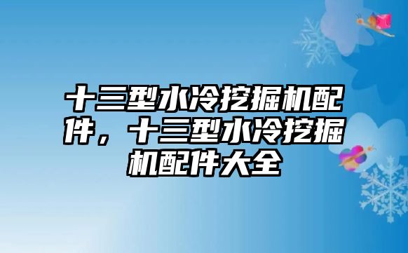 十三型水冷挖掘機(jī)配件，十三型水冷挖掘機(jī)配件大全