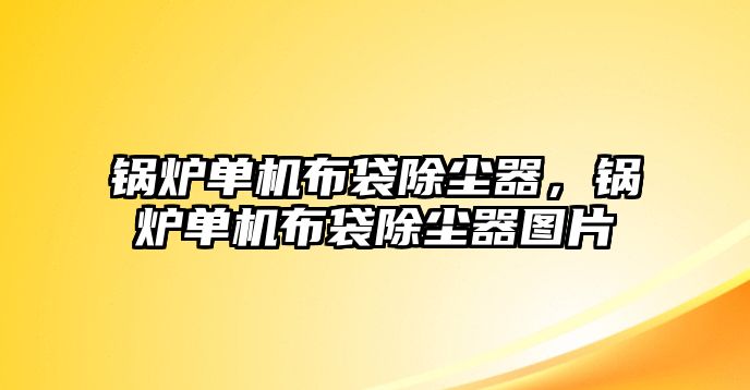 鍋爐單機(jī)布袋除塵器，鍋爐單機(jī)布袋除塵器圖片