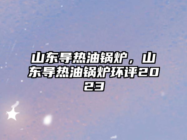 山東導(dǎo)熱油鍋爐，山東導(dǎo)熱油鍋爐環(huán)評2023