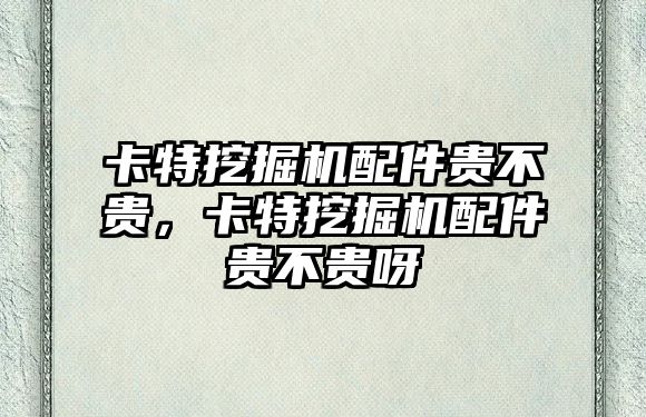 卡特挖掘機配件貴不貴，卡特挖掘機配件貴不貴呀