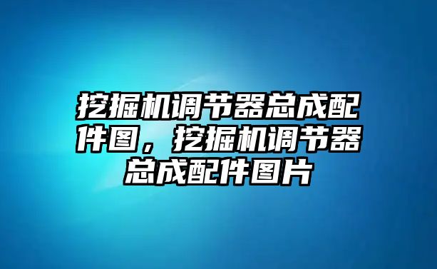 挖掘機調(diào)節(jié)器總成配件圖，挖掘機調(diào)節(jié)器總成配件圖片