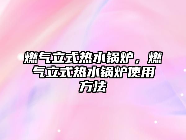 燃?xì)饬⑹綗崴仩t，燃?xì)饬⑹綗崴仩t使用方法