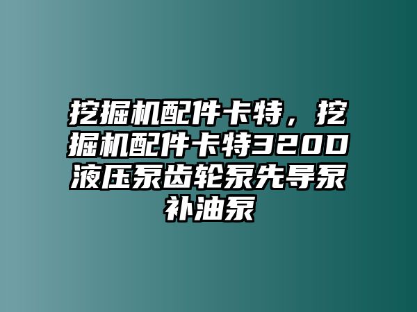 挖掘機配件卡特，挖掘機配件卡特320D液壓泵齒輪泵先導泵補油泵