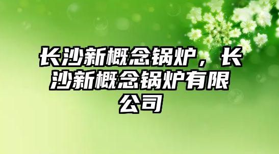 長(zhǎng)沙新概念鍋爐，長(zhǎng)沙新概念鍋爐有限公司