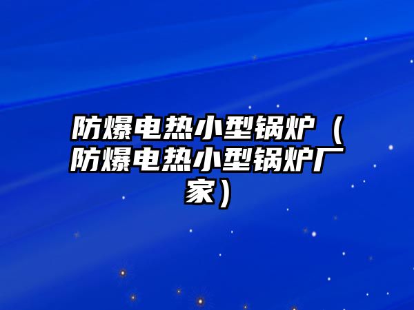 防爆電熱小型鍋爐（防爆電熱小型鍋爐廠(chǎng)家）