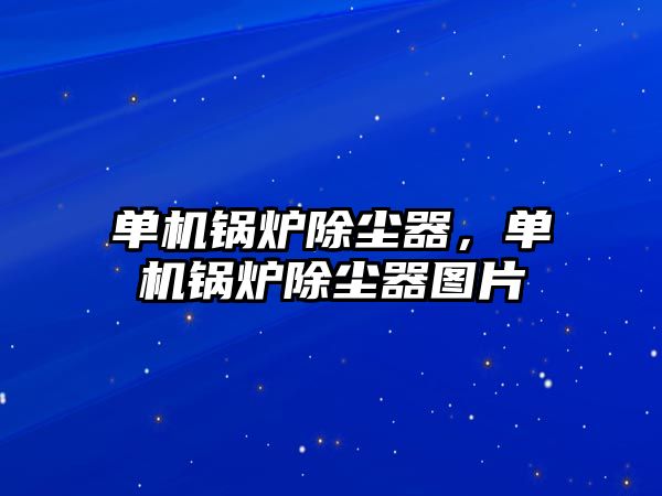 單機鍋爐除塵器，單機鍋爐除塵器圖片