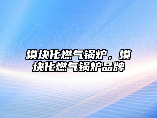 模塊化燃?xì)忮仩t，模塊化燃?xì)忮仩t品牌