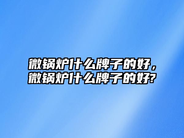 微鍋爐什么牌子的好，微鍋爐什么牌子的好?