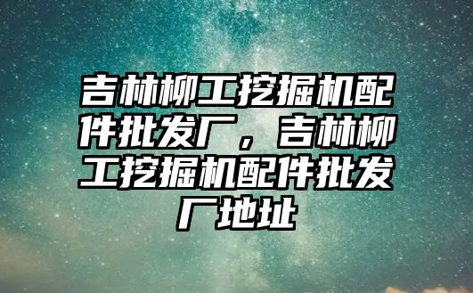 吉林柳工挖掘機配件批發(fā)廠，吉林柳工挖掘機配件批發(fā)廠地址