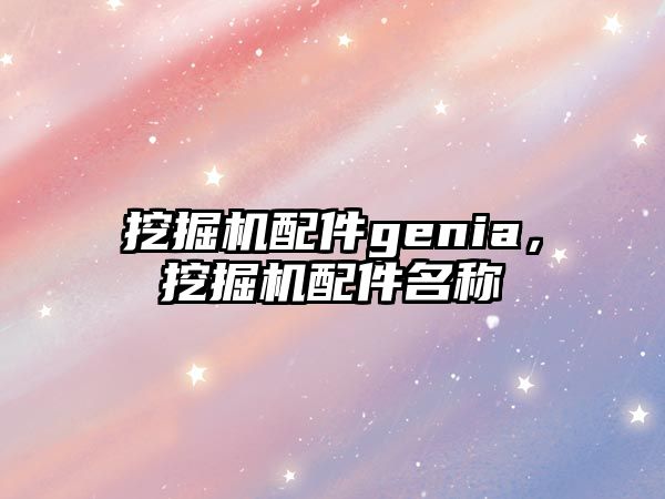 挖掘機配件genia，挖掘機配件名稱