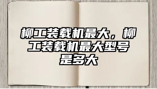 柳工裝載機最大，柳工裝載機最大型號是多大