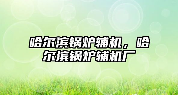 哈爾濱鍋爐輔機，哈爾濱鍋爐輔機廠