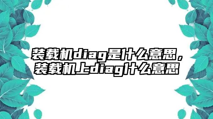 裝載機diag是什么意思，裝載機上diag什么意思