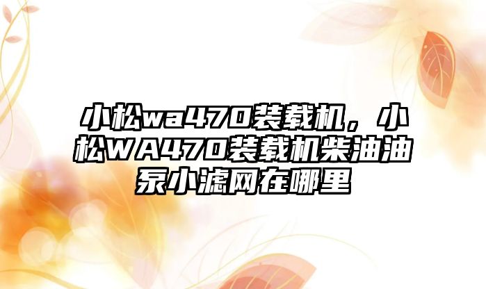 小松wa470裝載機(jī)，小松WA470裝載機(jī)柴油油泵小濾網(wǎng)在哪里