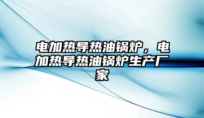 電加熱導(dǎo)熱油鍋爐，電加熱導(dǎo)熱油鍋爐生產(chǎn)廠家