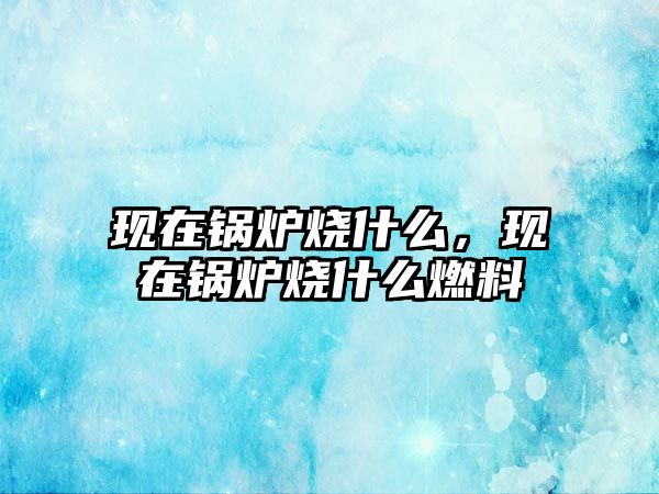 現(xiàn)在鍋爐燒什么，現(xiàn)在鍋爐燒什么燃料