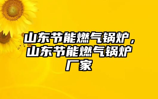 山東節(jié)能燃?xì)忮仩t，山東節(jié)能燃?xì)忮仩t廠家