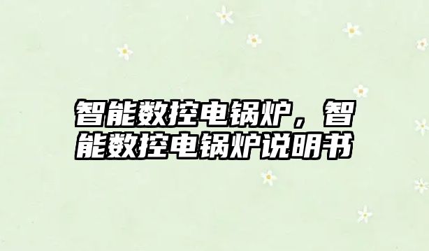 智能數(shù)控電鍋爐，智能數(shù)控電鍋爐說(shuō)明書(shū)