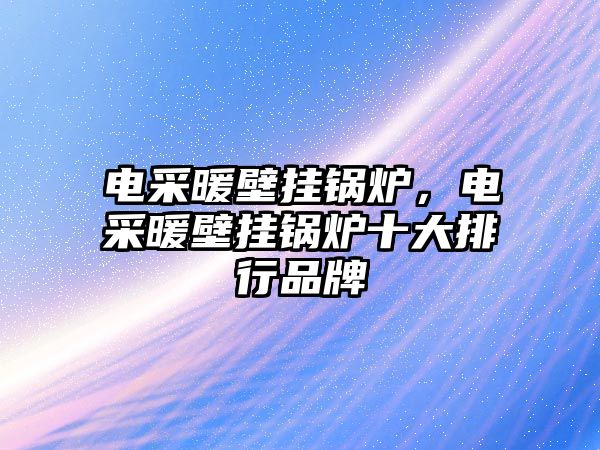 電采暖壁掛鍋爐，電采暖壁掛鍋爐十大排行品牌