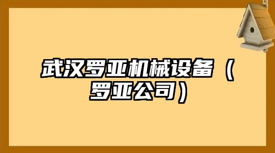 武漢羅亞機(jī)械設(shè)備（羅亞公司）