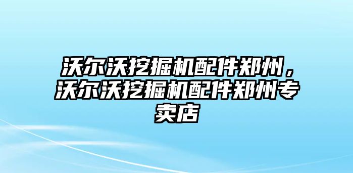 沃爾沃挖掘機(jī)配件鄭州，沃爾沃挖掘機(jī)配件鄭州專賣店