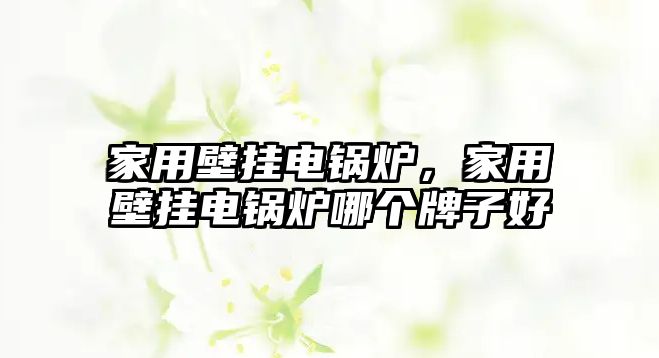 家用壁掛電鍋爐，家用壁掛電鍋爐哪個牌子好