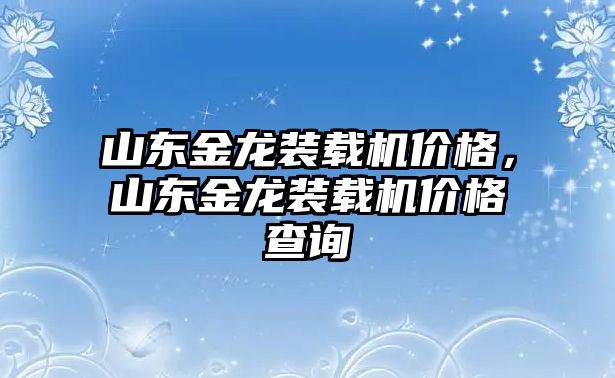 山東金龍裝載機價格，山東金龍裝載機價格查詢