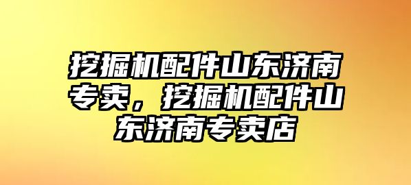 挖掘機(jī)配件山東濟(jì)南專賣，挖掘機(jī)配件山東濟(jì)南專賣店