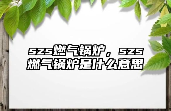 szs燃?xì)忮仩t，szs燃?xì)忮仩t是什么意思