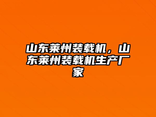 山東萊州裝載機，山東萊州裝載機生產(chǎn)廠家