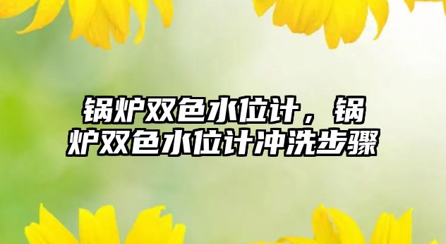 鍋爐雙色水位計，鍋爐雙色水位計沖洗步驟