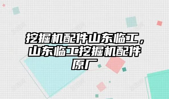 挖掘機配件山東臨工，山東臨工挖掘機配件原廠