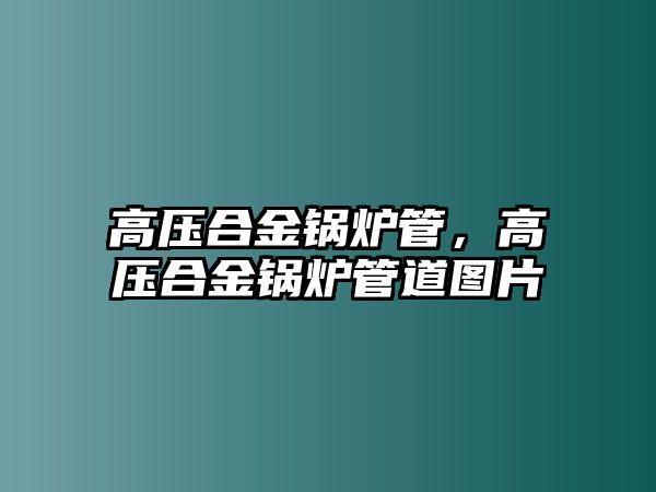 高壓合金鍋爐管，高壓合金鍋爐管道圖片